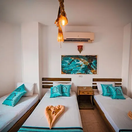 Bamboo House Hotel دهب المظهر الخارجي الصورة