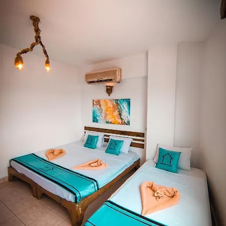 Bamboo House Hotel دهب المظهر الخارجي الصورة